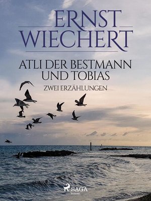 cover image of Atli der Bestmann und Tobias--Zwei Erzählungen